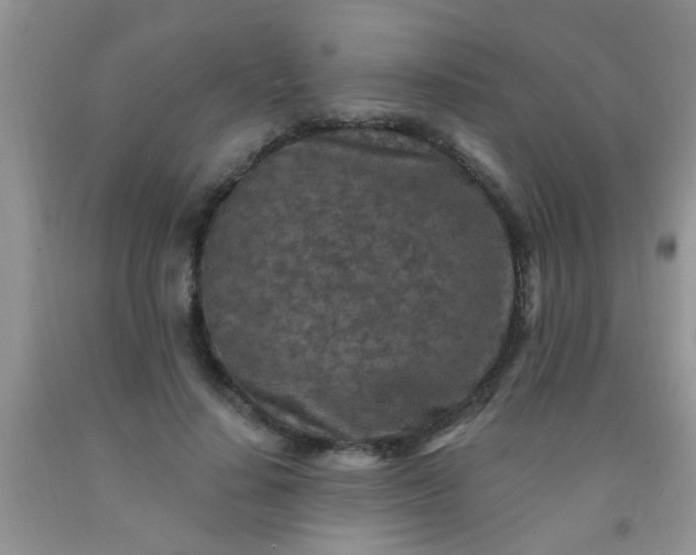 X0000092030644200709201613