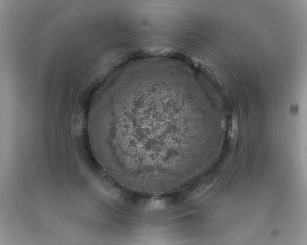 X0000092030647200709201613