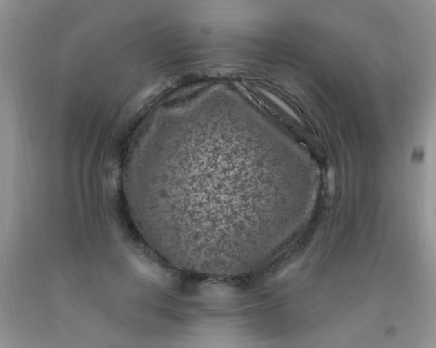 X0000092030648200709201613