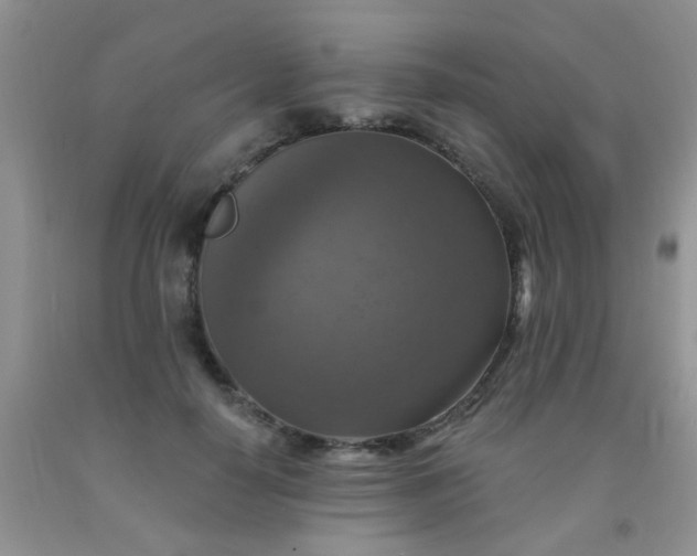 X0000092030650200709201613