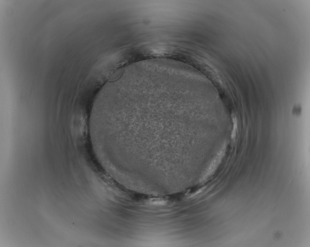 X0000092030651200709201613