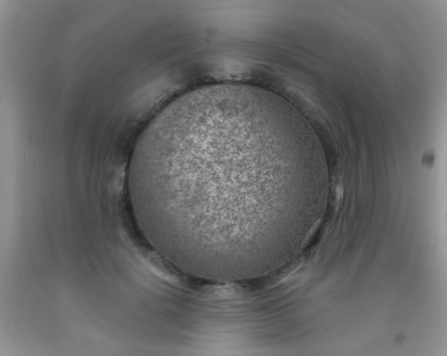 X0000092030652200709201613