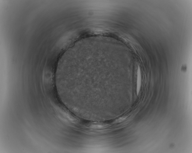 X0000092030653200709201613