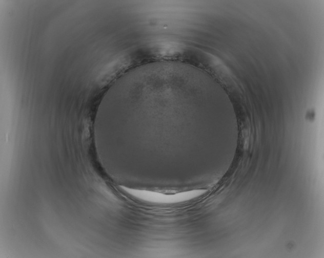 X0000092030654200709201613