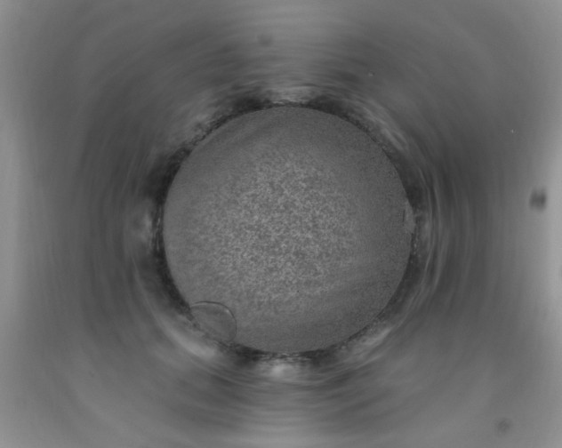 X0000092030655200709201613