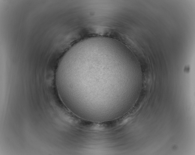 X0000092030656200709201613