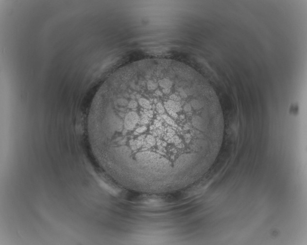 X0000092030658200709201613