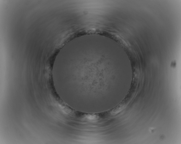 X0000092030659200709201613