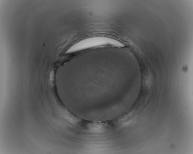 X0000092030661200709201613