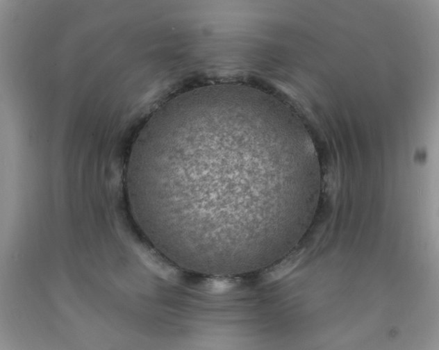 X0000092030662200709201613