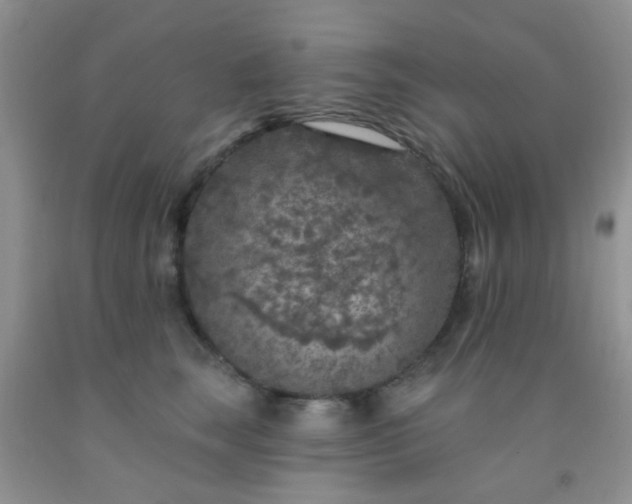 X0000092030663200709201613