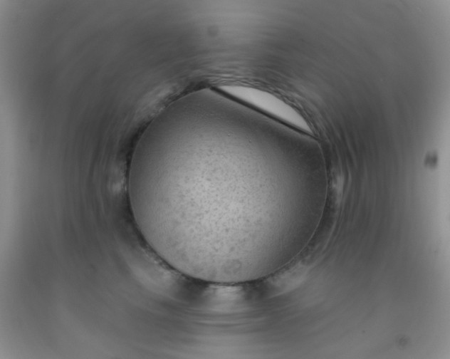 X0000092030665200709201613