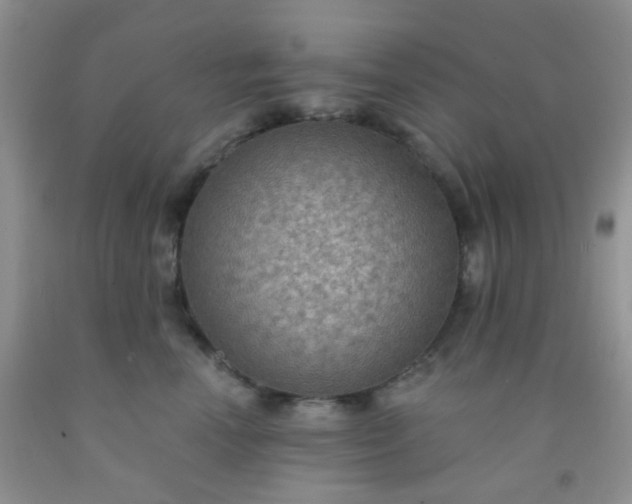 X0000092030666200709201613