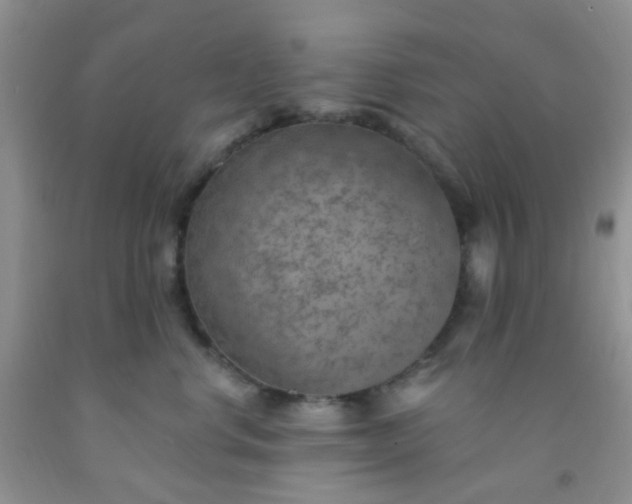 X0000092030668200709201613