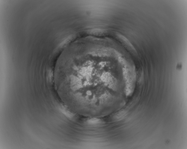 X0000092030669200709201613