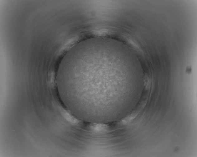 X0000092030670200709201613