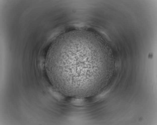 X0000092030671200709201613