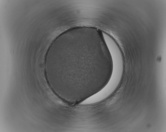 X0000092030673200709201612