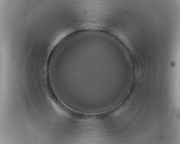 X0000092030674200709201612