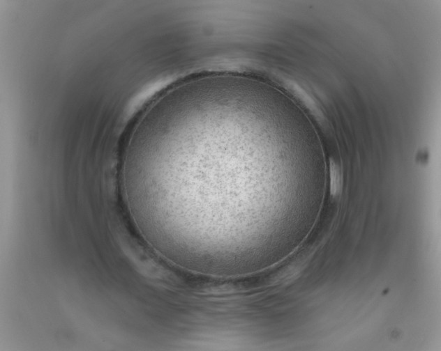 X0000092030675200709201612