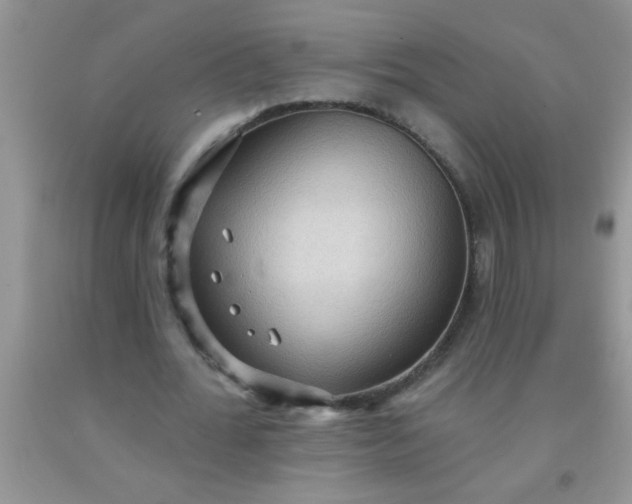 X0000092030676200709201612