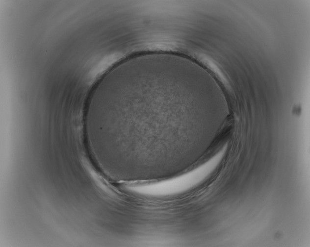 X0000092030677200709201612