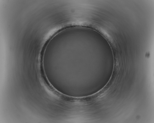 X0000092030678200709201612