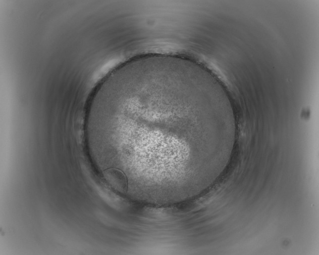 X0000092030679200709201612