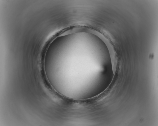 X0000092030680200709201612