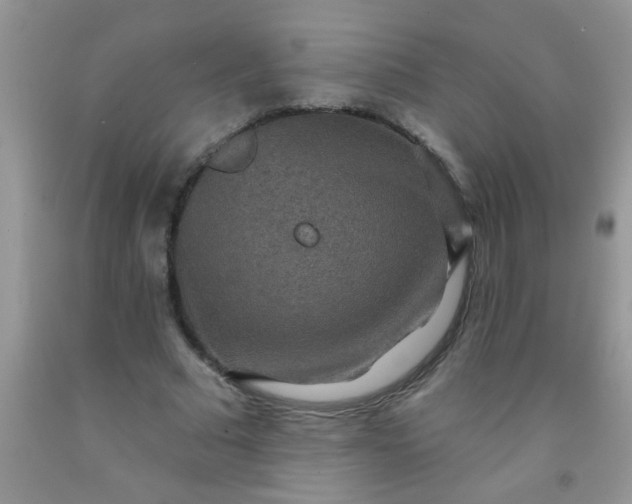 X0000092030681200709201612