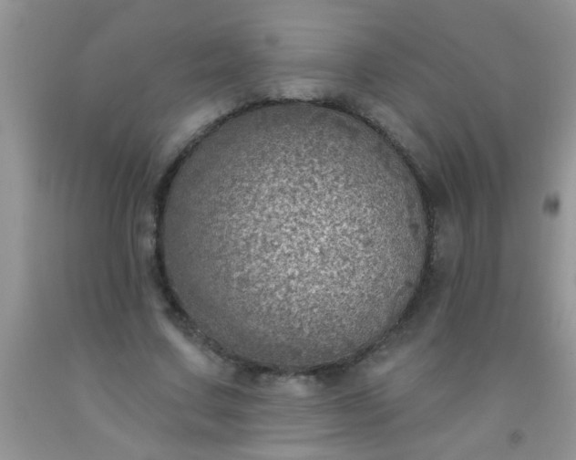 X0000092030683200709201612