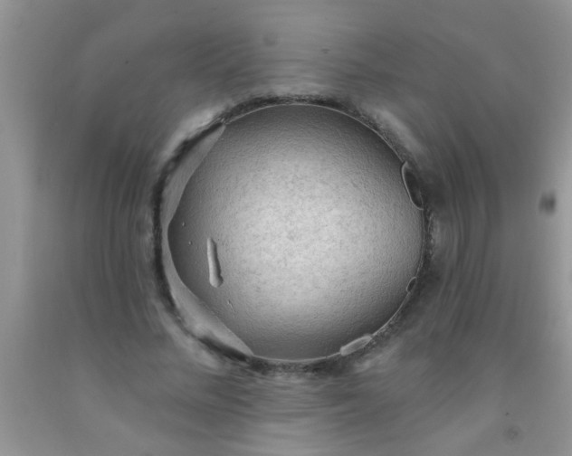 X0000092030684200709201612