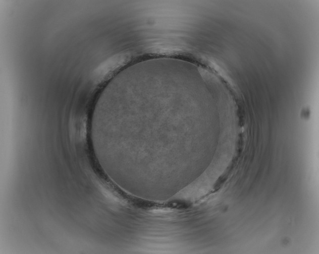 X0000092030685200709201612