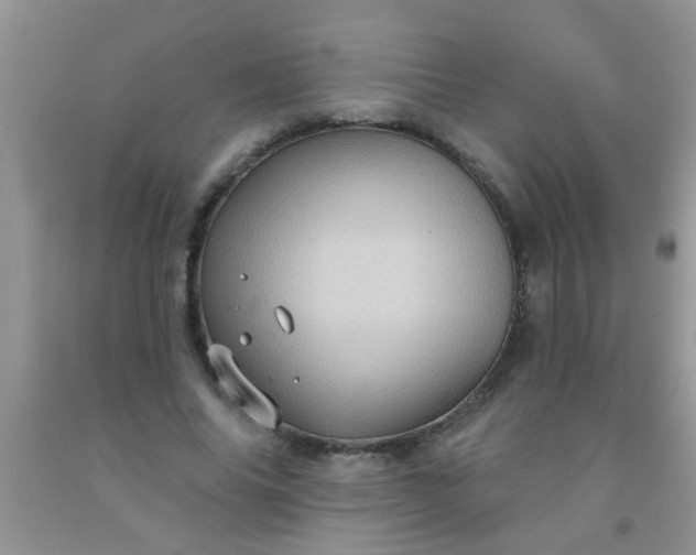 X0000092030686200709201612