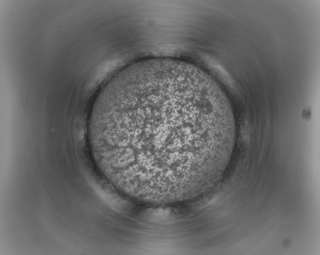 X0000092030687200709201612