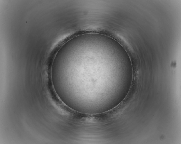 X0000092030688200709201612