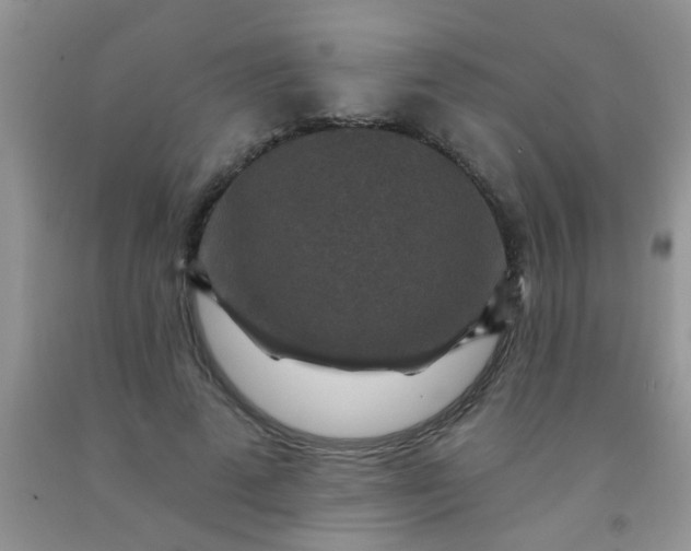 X0000092030689200709201612