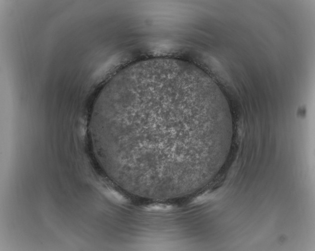 X0000092030691200709201612