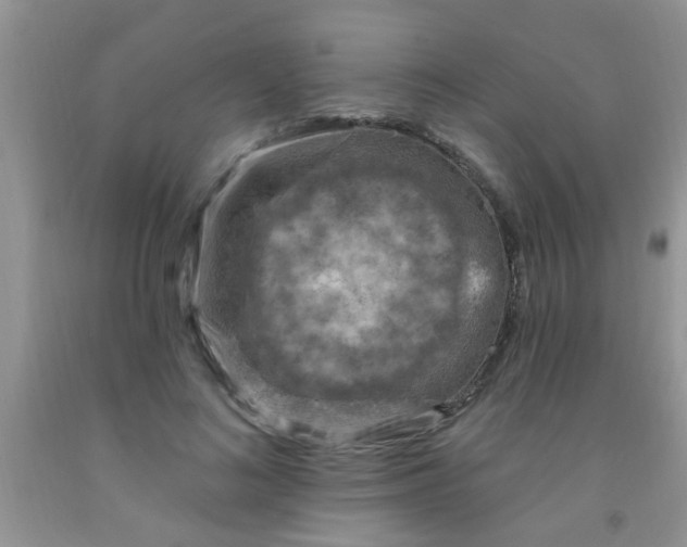 X0000092030692200709201612