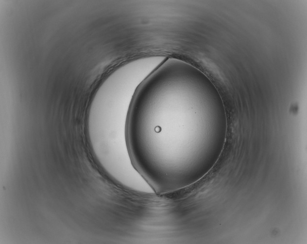 X0000092030693200709201612