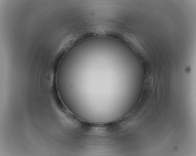 X0000092030694200709201612