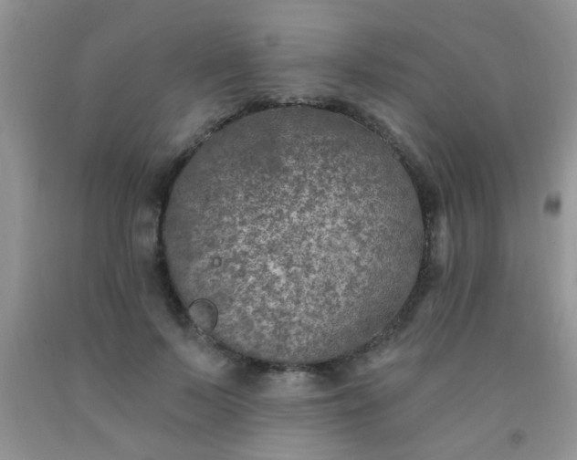 X0000092030695200709201612