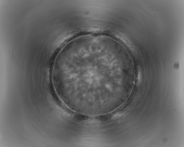 X0000092030696200709201612