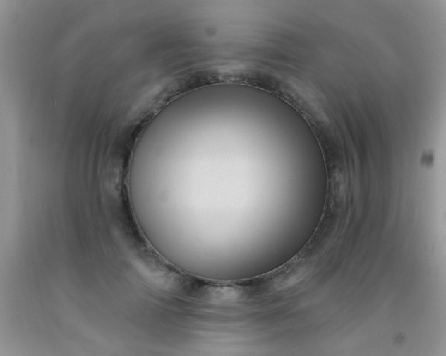 X0000092030698200709201612