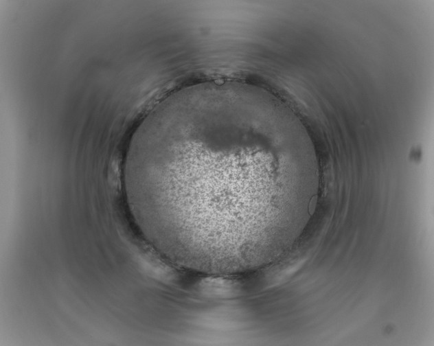 X0000092030699200709201612