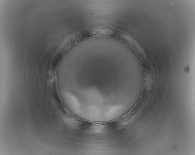 X0000092030701200709201612