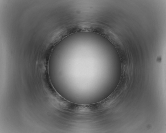 X0000092030702200709201612