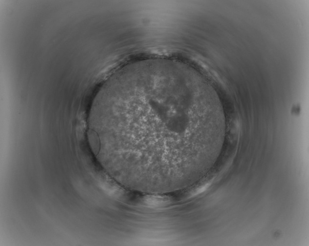 X0000092030707200709201612