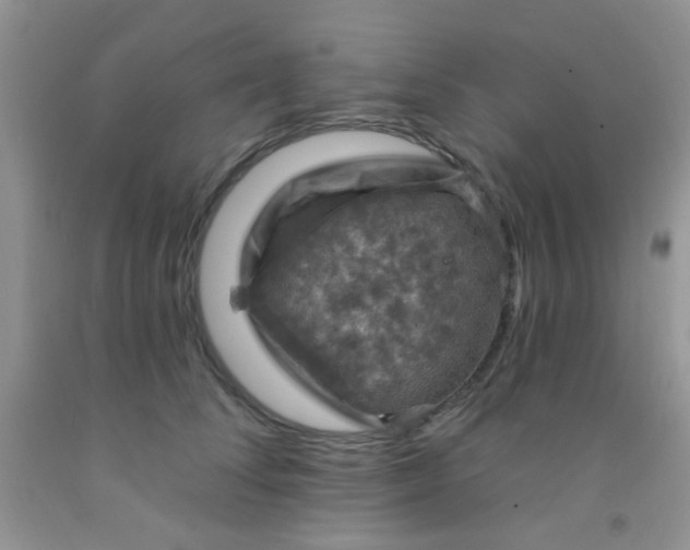 X0000092030708200709201612