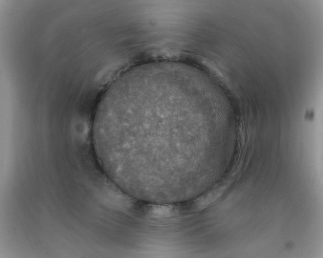 X0000092030709200709201612